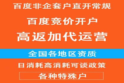 某品牌SEM广告的蜕变——代运营公司的力量